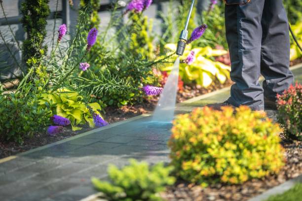 Best Sidewalk and Walkway Cleaning  in North Bonneville, WA