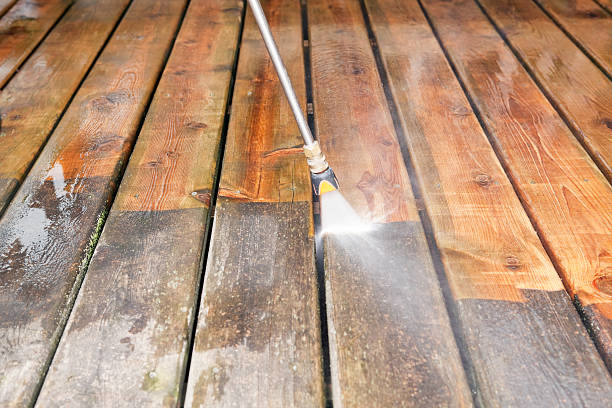 Animal Enclosure Cleaning in North Bonneville, WA